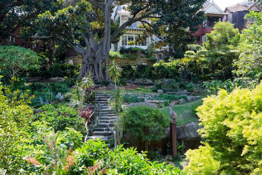 North Sydney Garden Competition Entries Now Open