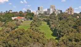 North Sydney Council loses Cammeray Golf Course management, Golf NSW appointed