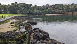 Berry Island harbour swimming plan hits environmental roadblock